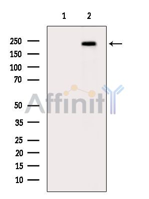 Валидация Affinity DF15124 - 11376