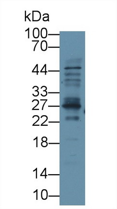 8377