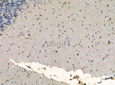 Валидация Affinity DF14188 - 10007
