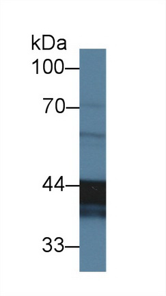 9970