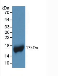61062