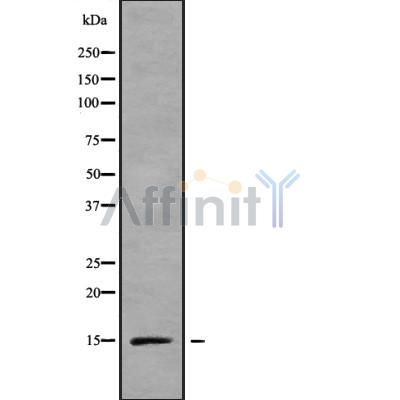 Валидация Affinity DF9117 - 21428