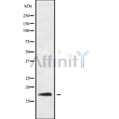 Валидация Affinity DF9847 - 22754