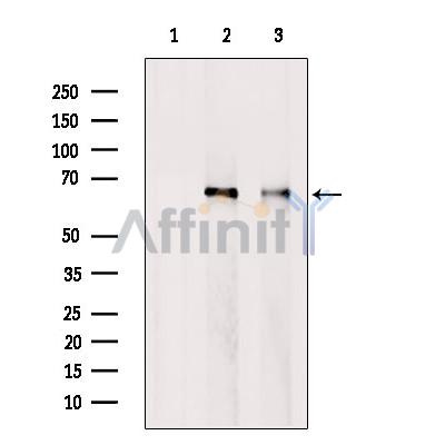 Валидация Affinity DF4352 - 15804