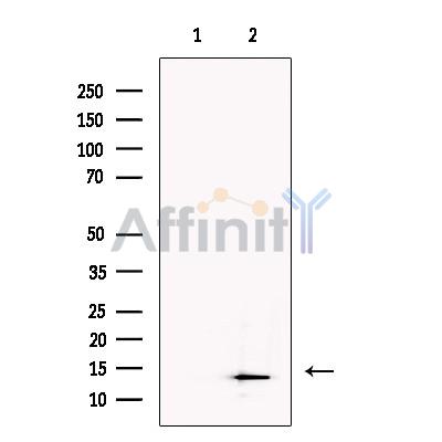 Валидация Affinity DF13485 - 8855