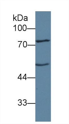 10222