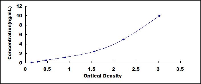 65083