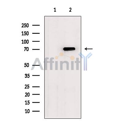 Валидация Affinity DF6058 - 17267