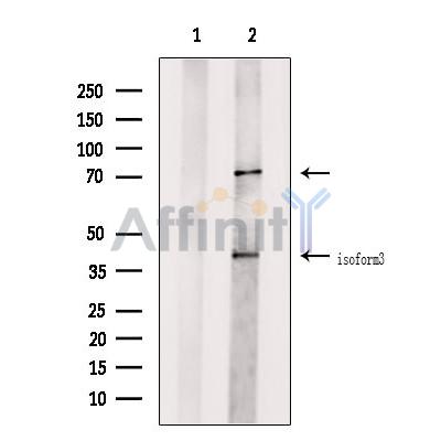 Валидация Affinity DF7010 - 18646