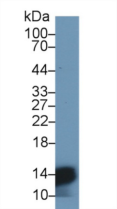 13757