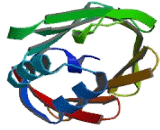 Fatty Acid Binding Protein 3, Muscle And Heart (FABP3)