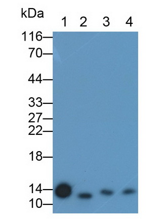 5615