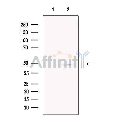 Валидация Affinity DF13238 - 8290