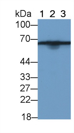 24836