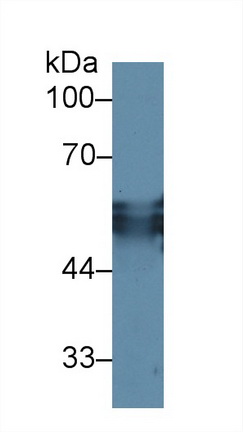 13495