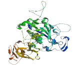 Leishmanolysin Like Protein (LMLN)