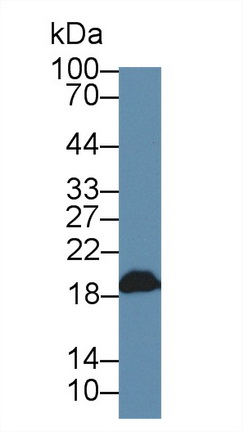 12553