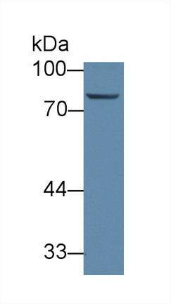 8947