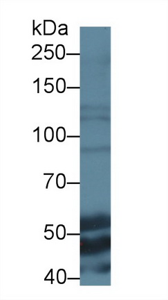 12414