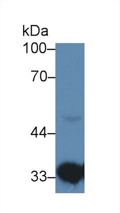 12841