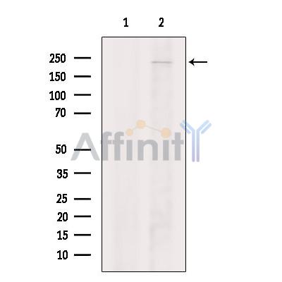 Валидация Affinity DF9024 - 21254