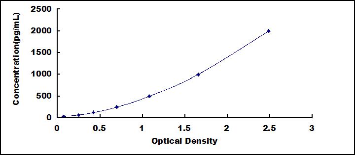 64812