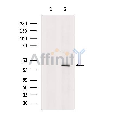 Валидация Affinity DF10275 - 5883