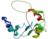 5"-Nucleotidase Domain Containing Protein 1 (NT5DC1)