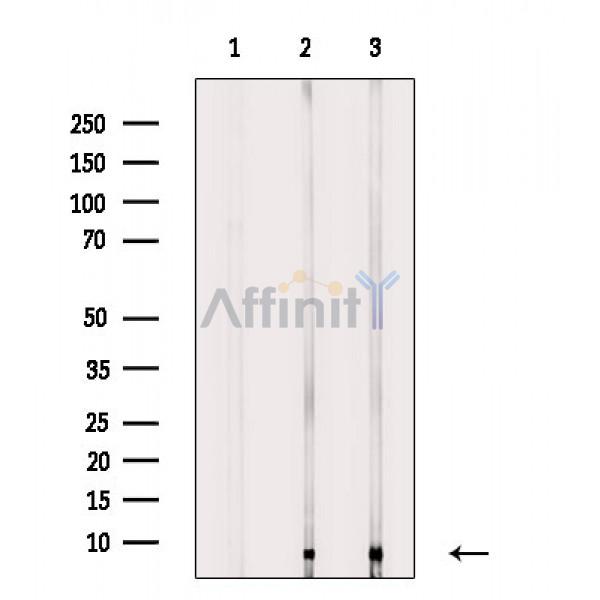 Валидация Affinity DF3803 - 14921