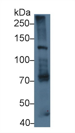 9490