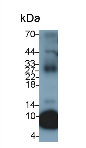 30820