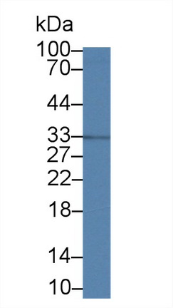 14327