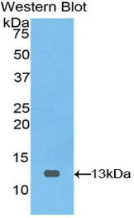 48780