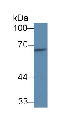 8867