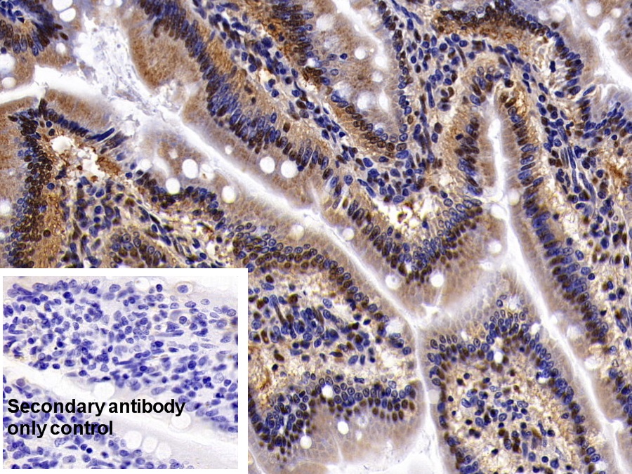 29881