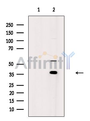 Валидация Affinity DF3757 - 14839