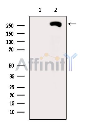 Валидация Affinity DF15446 - 11792