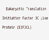 Eukaryotic Translation Initiation Factor 3C Like Protein (EIF3CL)