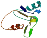 Core-1-Synthase, Glycoprotein-N-Acetylgalactosamine-3-Beta-Galactosyltransferase 1 (C1GALT1)