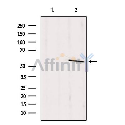 Валидация Affinity DF4331 - 15768