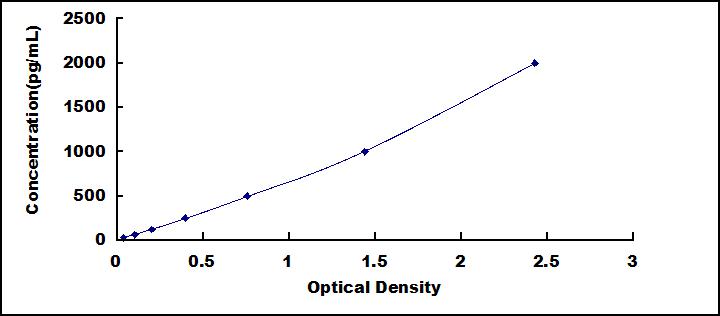 61205
