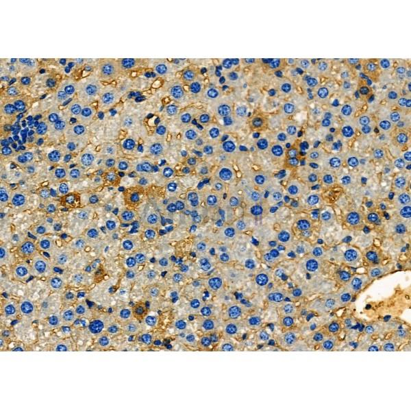 Валидация Affinity DF12607 - 7233