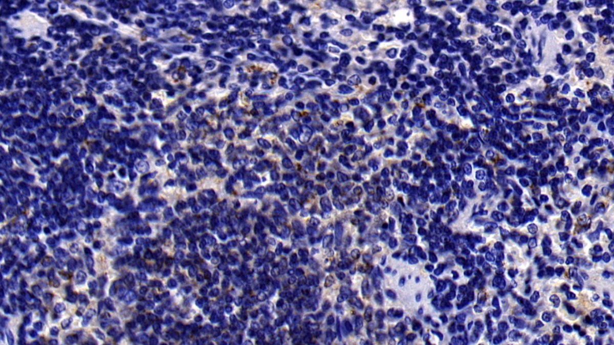 24392