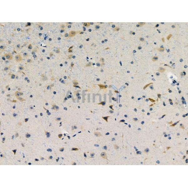 Валидация Affinity DF3124 - 13900