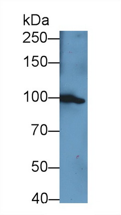 62735