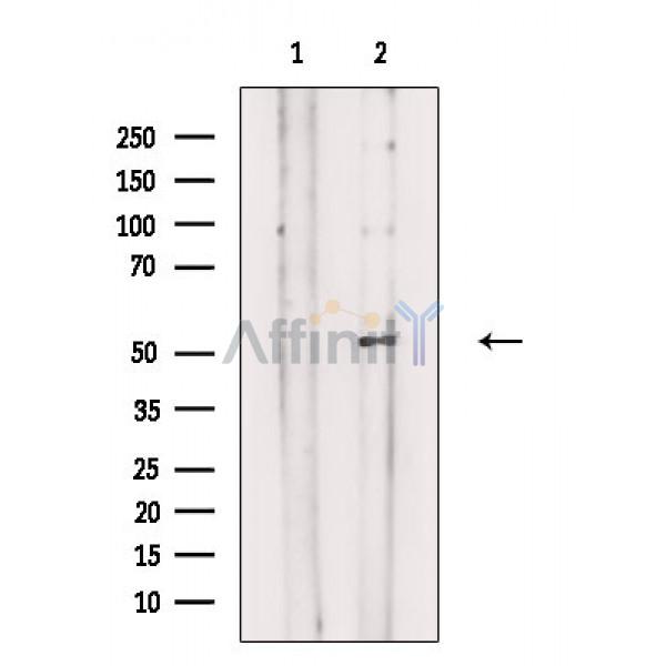 Валидация Affinity DF3355 - 14222