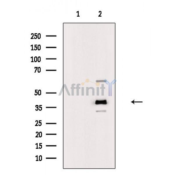 Валидация Affinity DF3841 - 14973