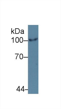 13830