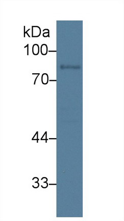 14934
