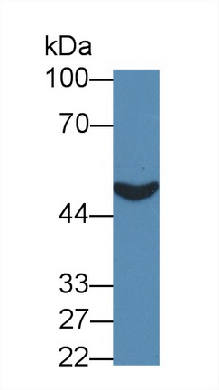 8830